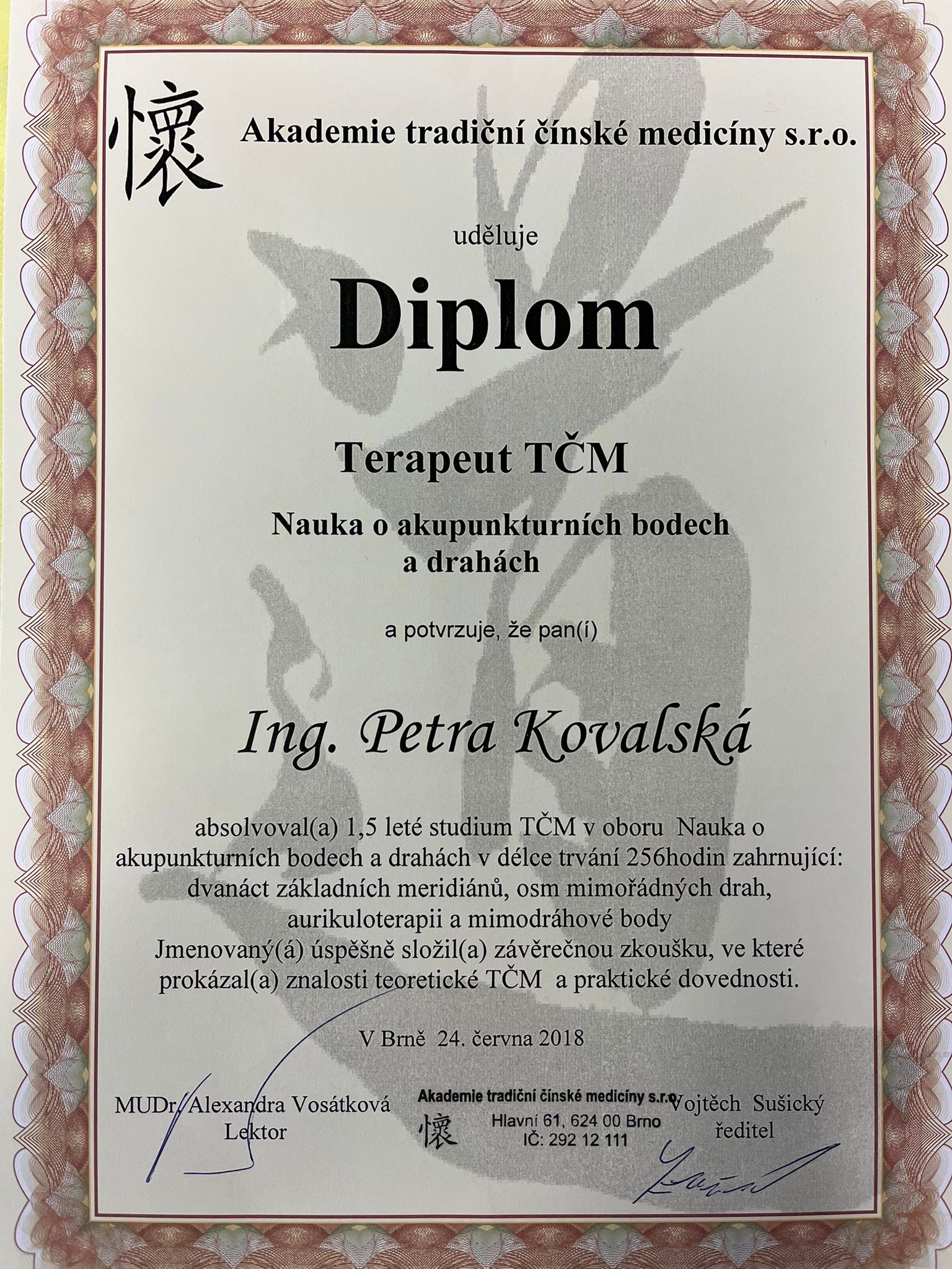 Diplom – Terapeut TCM